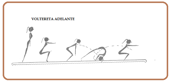 La natación a las hernias sheynogo del departamento de la columna vertebral